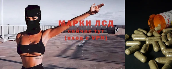 ПСИЛОЦИБИНОВЫЕ ГРИБЫ Коряжма