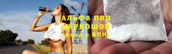 ПСИЛОЦИБИНОВЫЕ ГРИБЫ Коряжма
