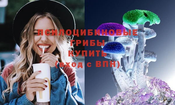 ALPHA PVP Костерёво
