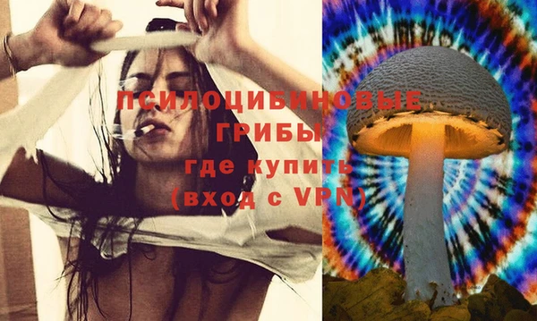 ПСИЛОЦИБИНОВЫЕ ГРИБЫ Коряжма